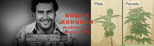 mdma Ветлуга
